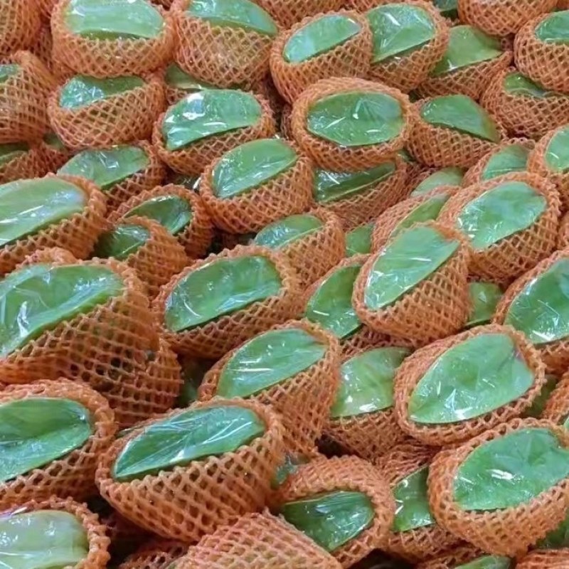 杨桃精品