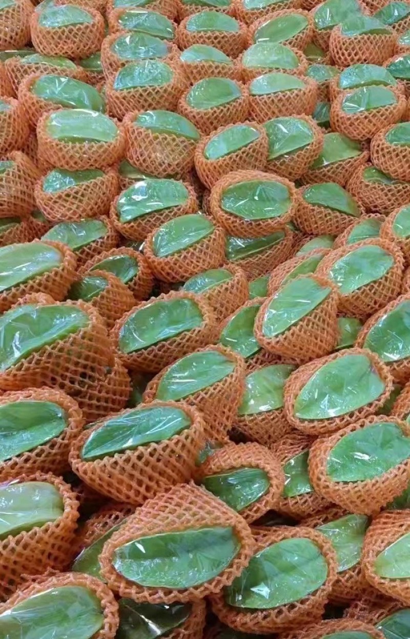 杨桃精品