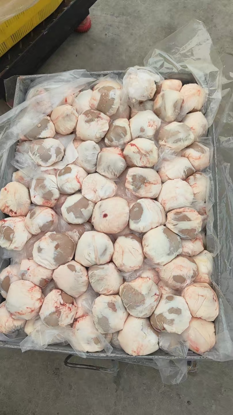 【羊腰】当地草原羊的原油腰子！鲜干冻品！一斤约四五个左右
