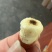 松蛹，核桃蛹，冷冻发货