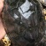 石金钱老龟