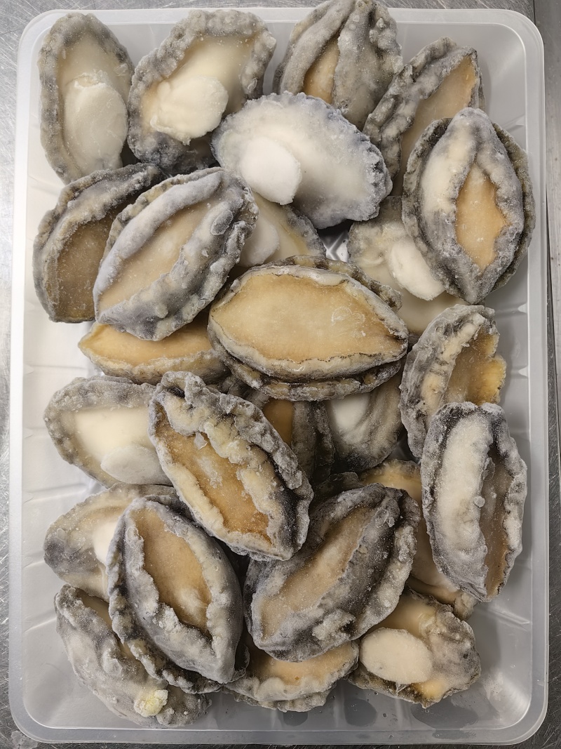 活鲍取肉黑边鲍鱼肉规格1g-22g/只