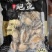 活鲍取肉黑边鲍鱼肉规格1g-22g/只