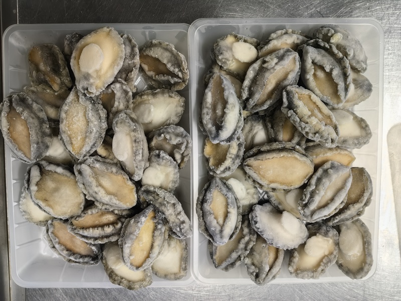 活鲍取肉黑边鲍鱼肉规格1g-22g/只