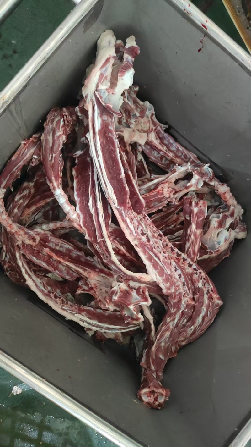 【羔羊肉龙骨】当地草饲绵羊脊骨，鲜冻品免费加工！常年有货