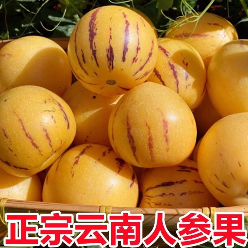 精品小果
