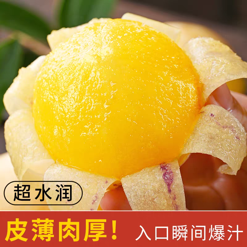 精品小果