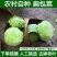 湖北随州扁包菜/扁包菜/现摘现发/湖北包菜