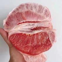 红心柚三红柚