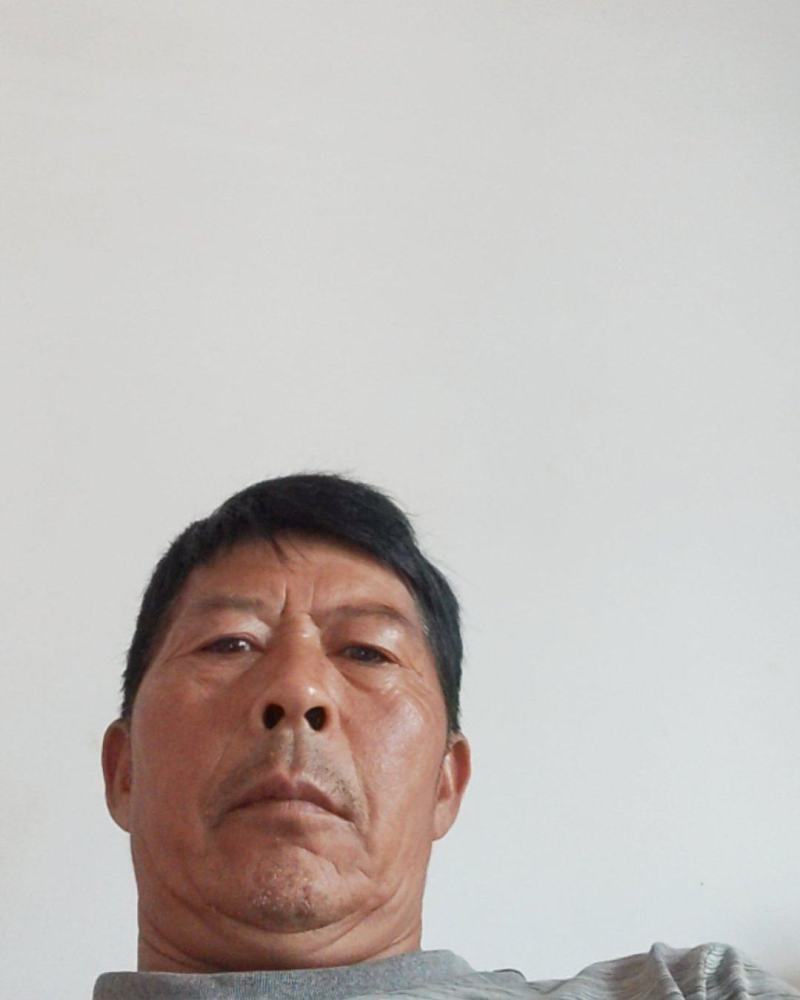 欢迎电话咨询蝉蜕全网低价货源充足