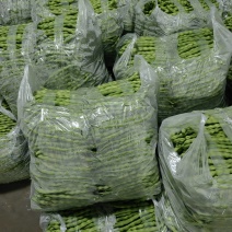 精品大青豆大量有货全国代发质量保证欢迎客商来谈