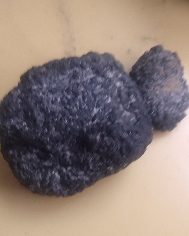 羊结石