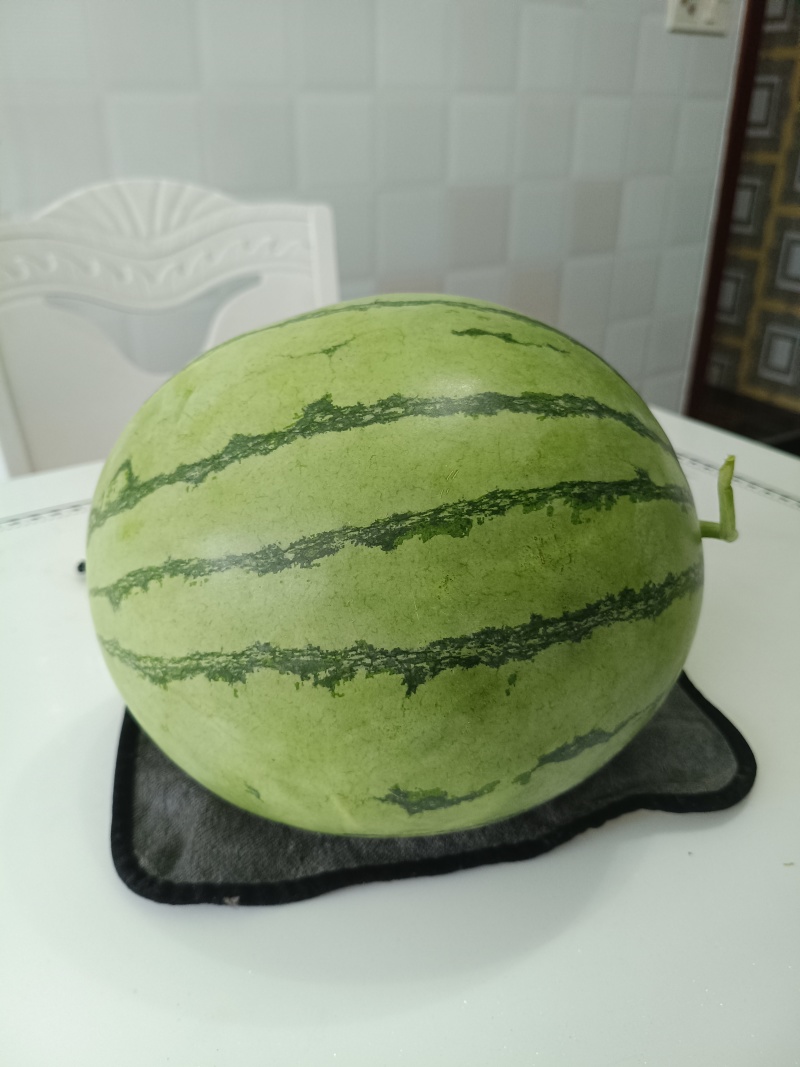西瓜源头供应正宗