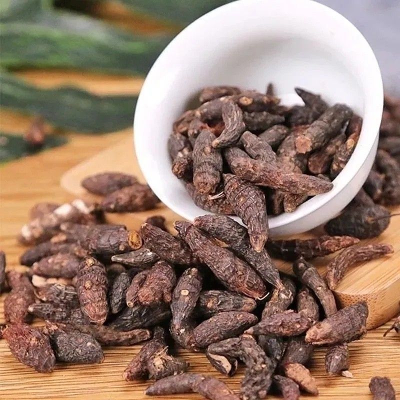 香附子正宗发醋香附生香附脾胃湿寒虚弱泡酒泡