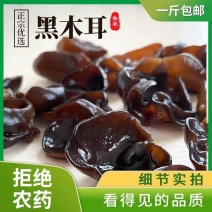 木耳东北黑木耳干货小碗耳长白山椴木野生秋耳肉厚无根特产级