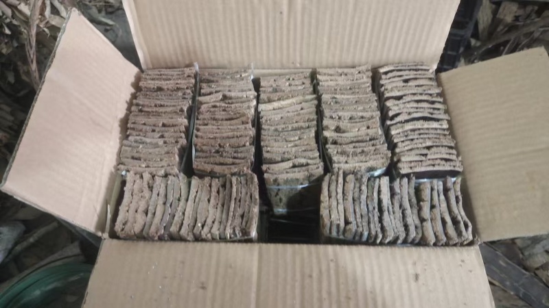 30年树龄高含量盐炒杜仲厚0.5以上6*10杜仲产地直发