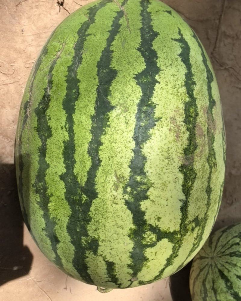 西瓜