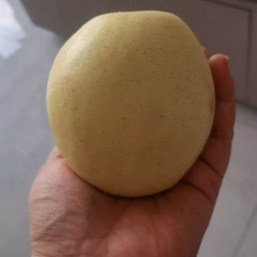 单个重量都在半斤以上。