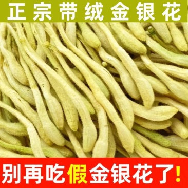 正宗平邑金银花干花山东绒毛特级新货中药材无硫******批发