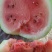 农村大西瓜