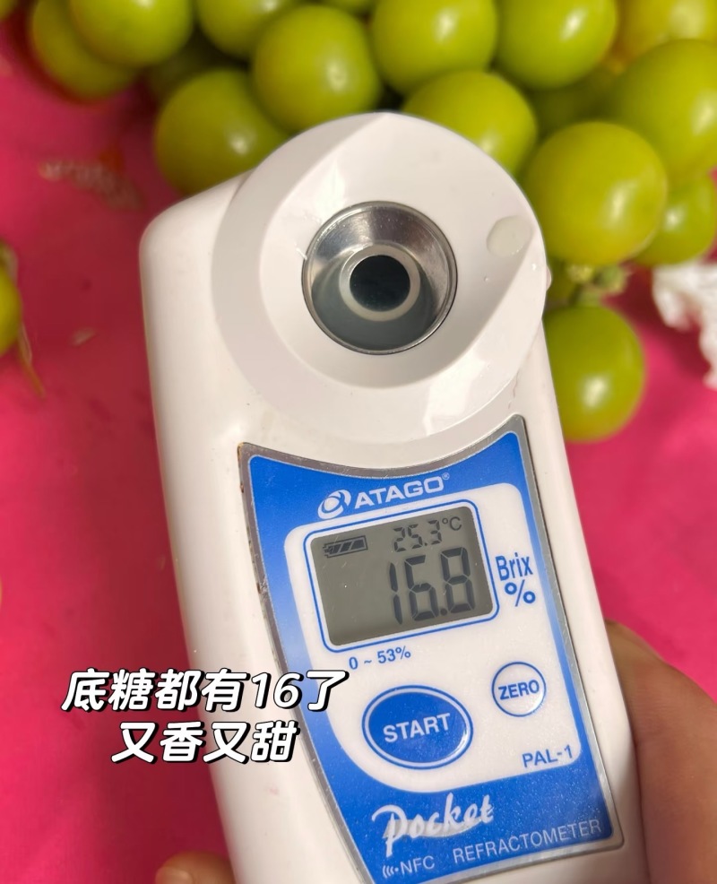 湖南阳光玫瑰产地直销品质优可对接全国市场商超电商