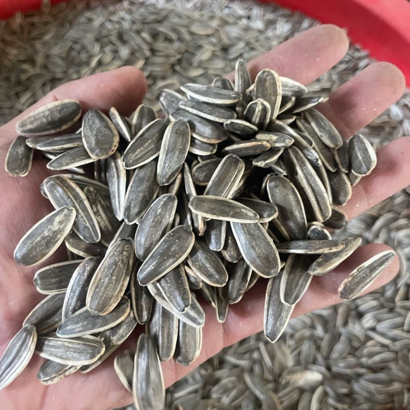 优质电商葵花籽原味瓜子生瓜子电商支持一件代发