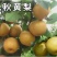 晚秋黄岛
