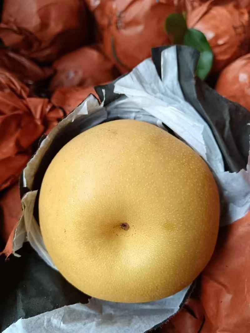 梨