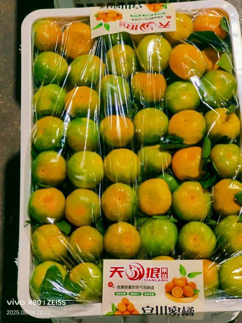 优质高山蜜桔大量有货，一手货源充足量大从优