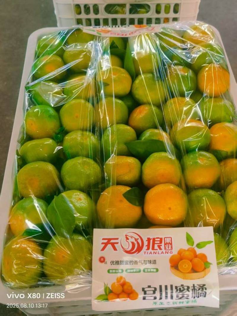 优质高山蜜桔大量有货，一手货源充足量大从优