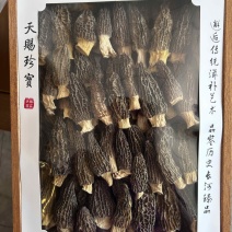 羊肚菌礼盒包装厂家直销全国发货