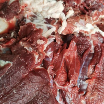 梅花鹿肉
