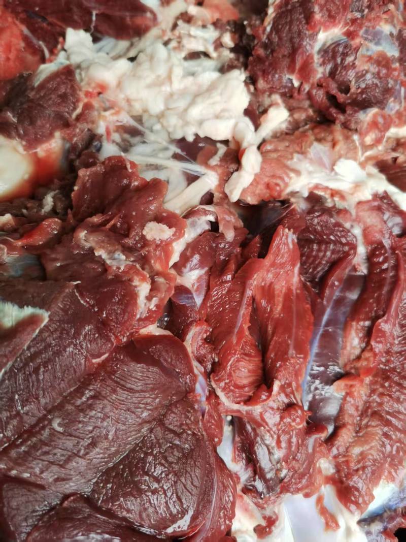 梅花鹿肉