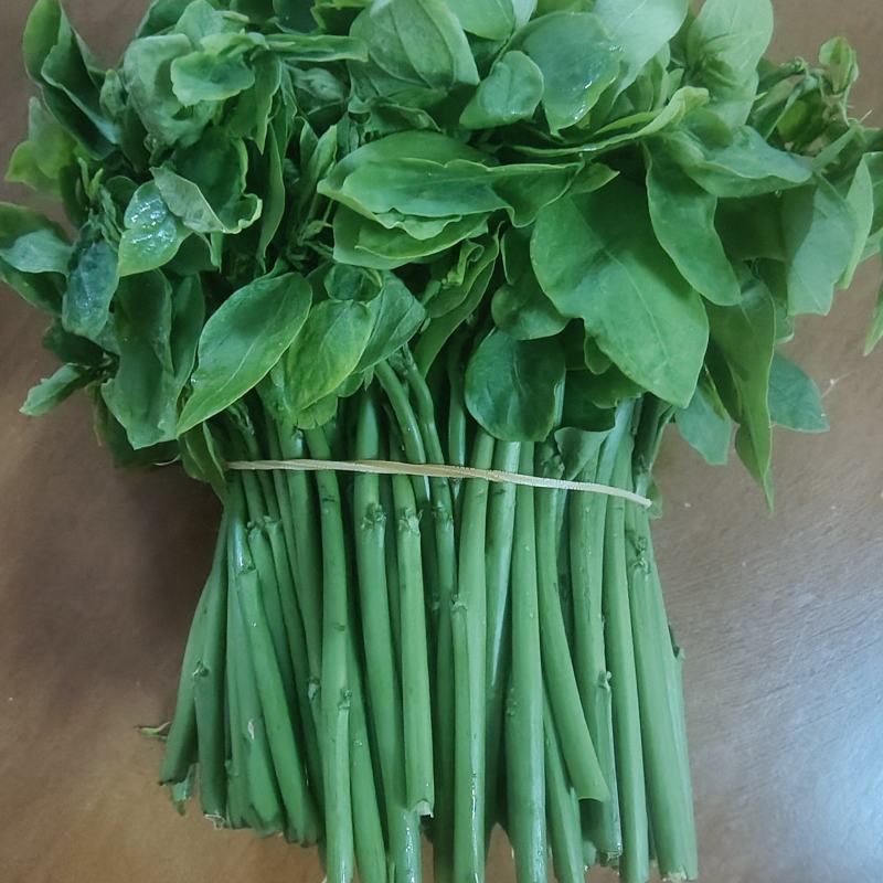 树仔菜天绿香益肝菜