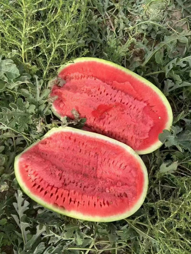 西瓜
