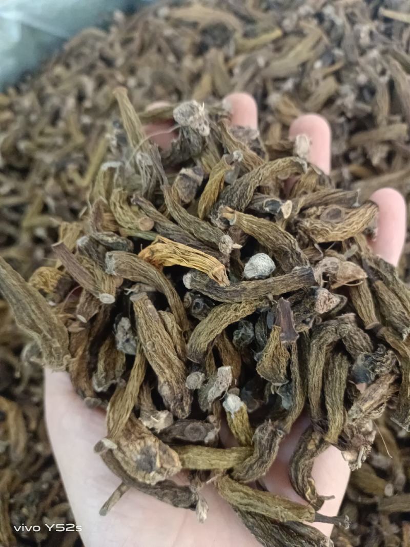 红岩珠