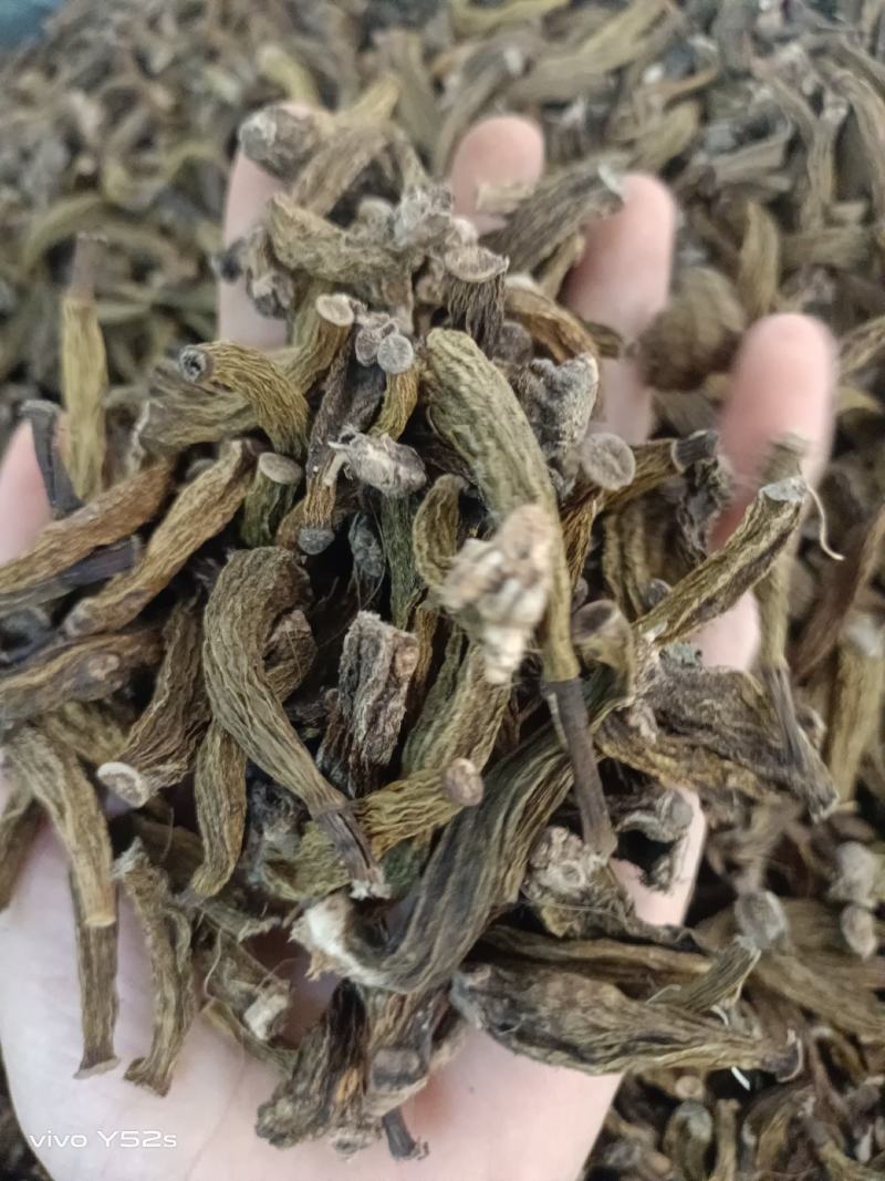 红岩珠