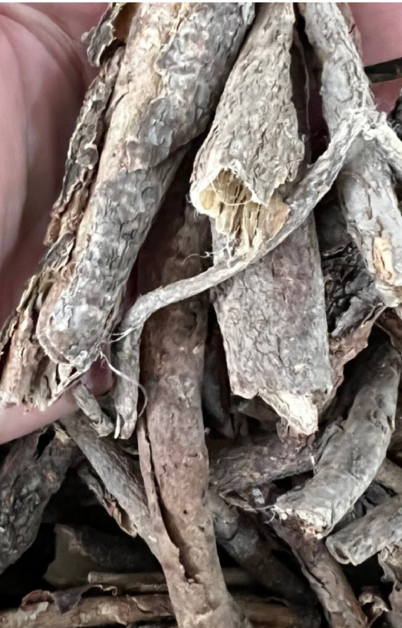 香加皮五加皮货品均实物拍摄