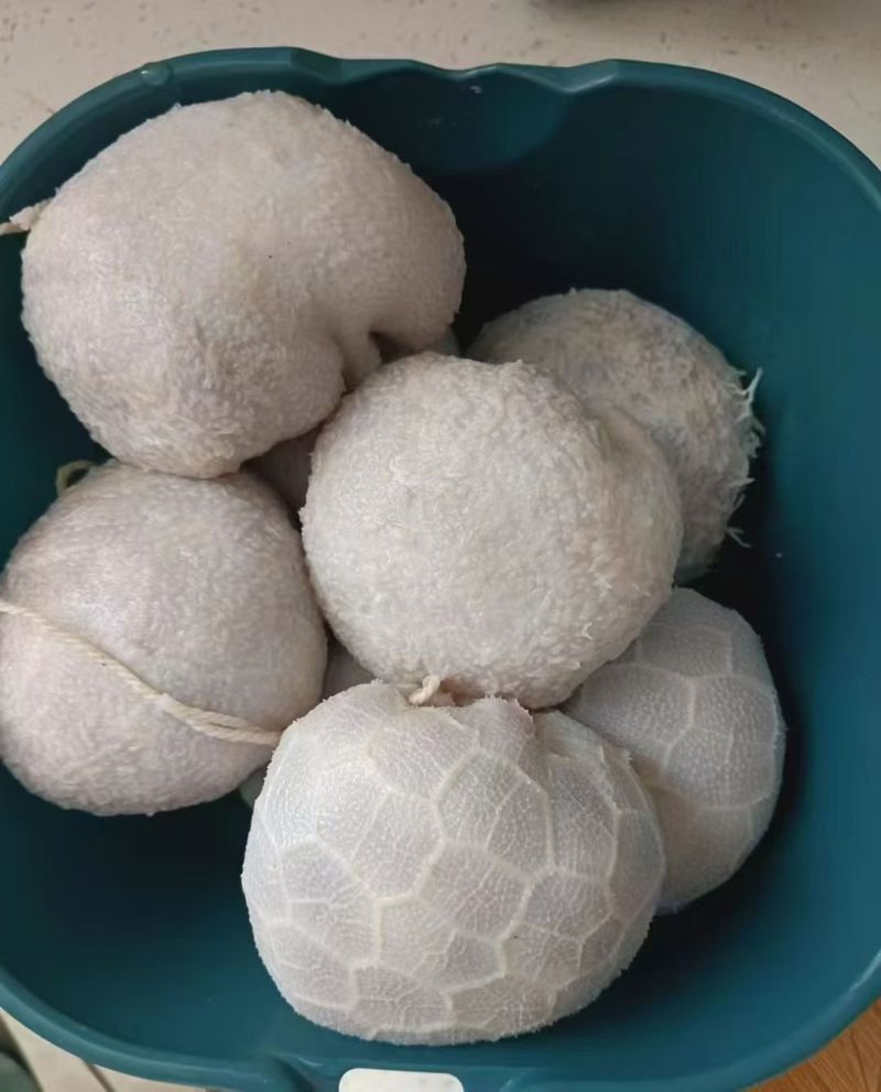 精品肚包肉