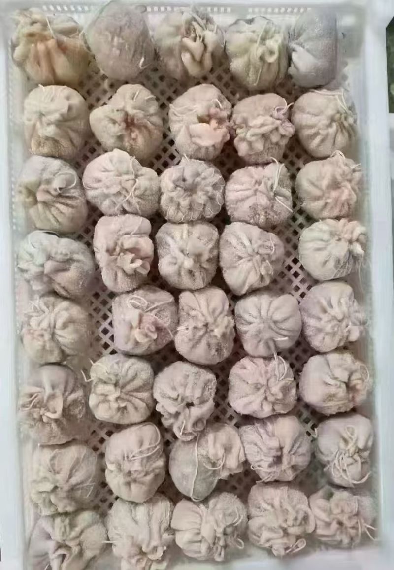 精品肚包肉