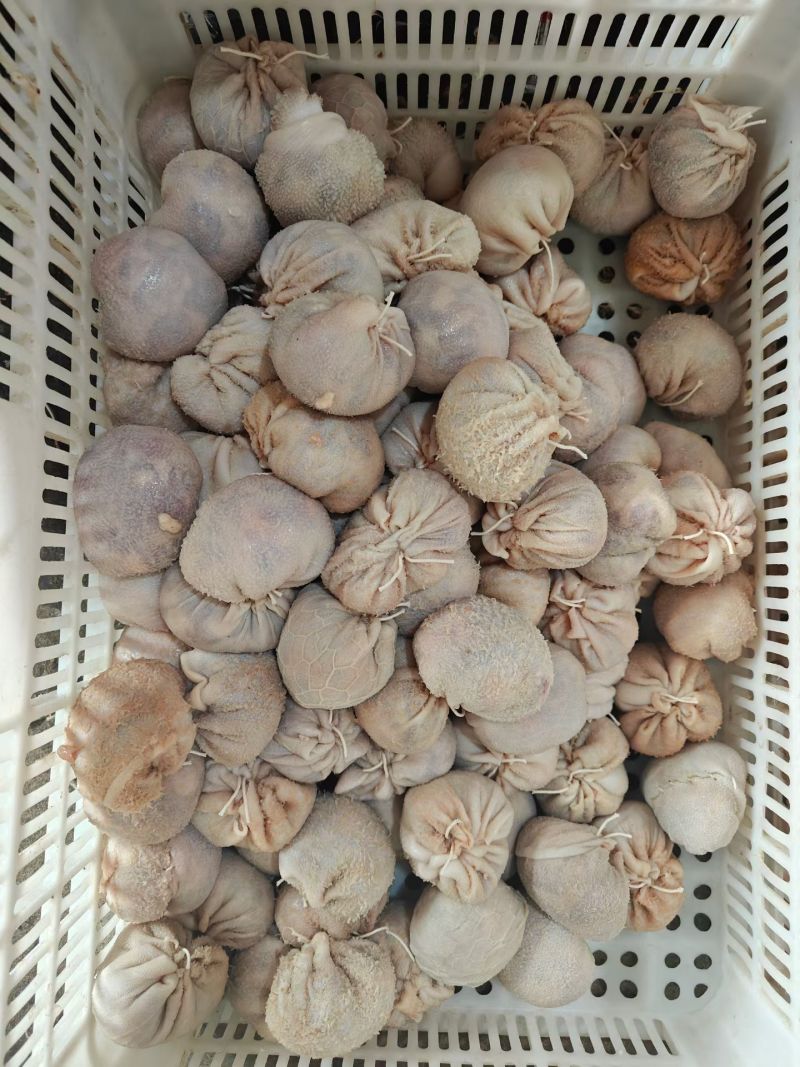 精品肚包肉