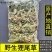 25年8月新货狸尾草扎捆晒干带花带尾巴量大优惠产地直销
