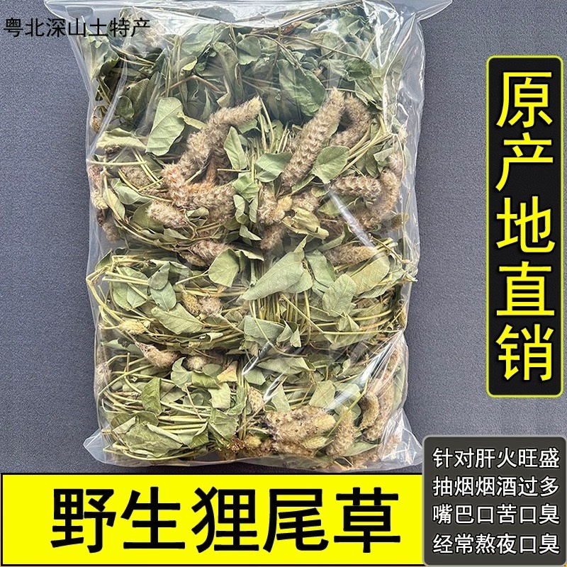 25年8月新货狸尾草扎捆晒干带花带尾巴量大优惠产地直销