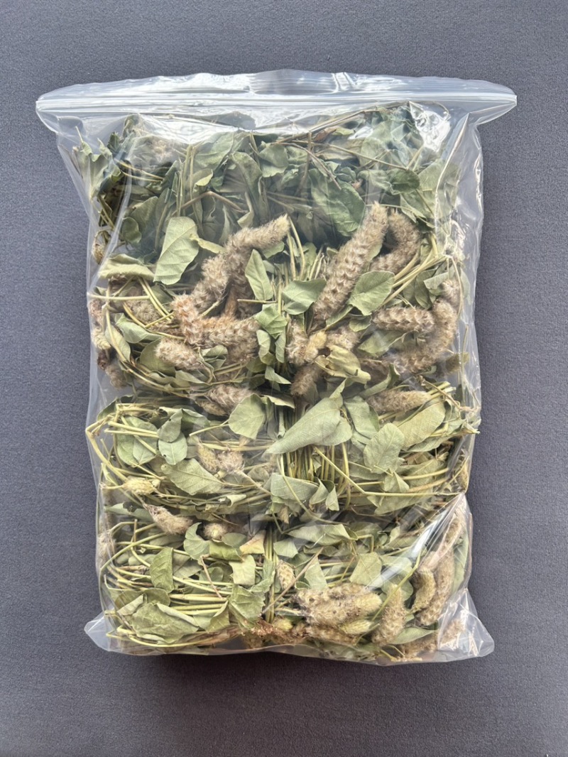 25年8月新货狸尾草扎捆晒干带花带尾巴量大优惠产地直销