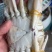 江苏精品梭子蟹，一件代发，一手货源。