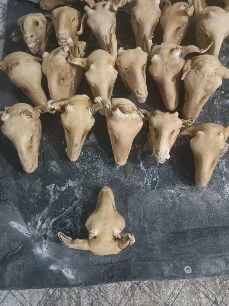 火烧育肥羔羊头