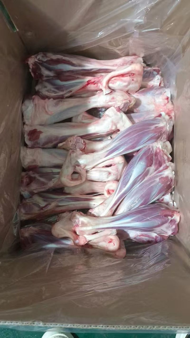【羔羊后小腿】当地草地羊的鲜冻！带拐筋，屠宰场产地直发！