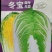 冬宝寒绿103越冬黄心矮颗大白菜耐寒黄心矮颗