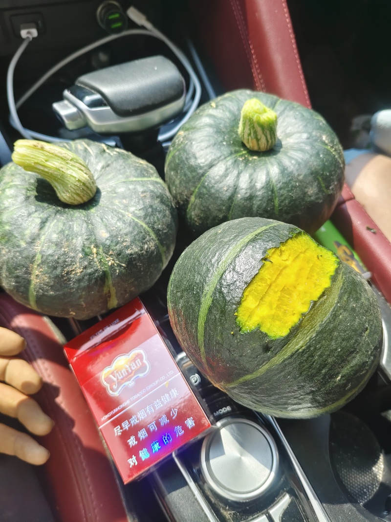 大量供应内蒙沙漠贝贝南瓜支持多种规格，电商，市场，供应链