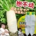 水润清甜杂交一代萝卜种子大根大白萝卜种子产量高甜脆爽口